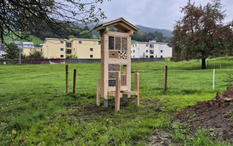 Tage des Schweizer Holzes